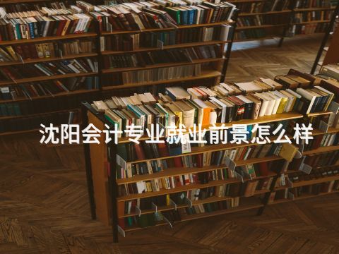 沈阳会计专业就业前景怎么样(图1) 沈阳会计专业就业前景怎么样(图1)