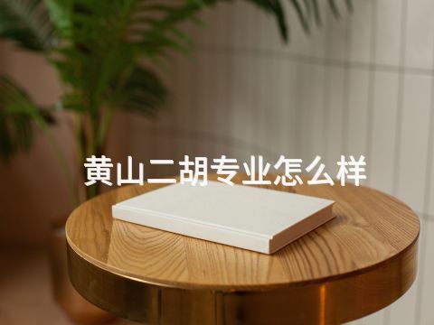 黄山二胡专业怎么样