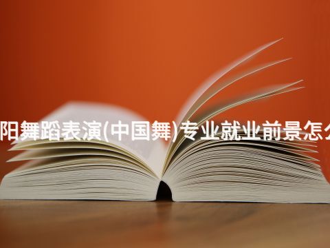 沈阳舞蹈表演(中国舞)专业就业前景怎么样