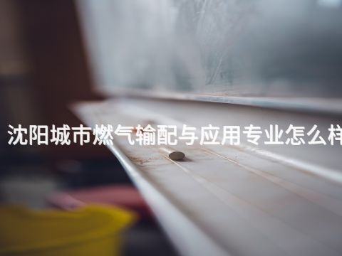 沈阳城市燃气输配与应用专业怎么样