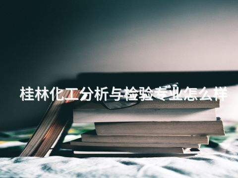 桂林化工分析与检验专业怎么样
