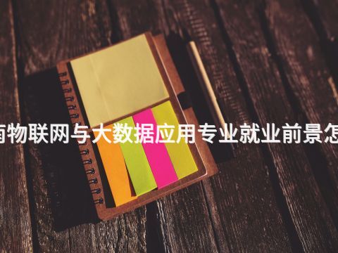 渭南物联网与大数据应用专业就业前景怎么样