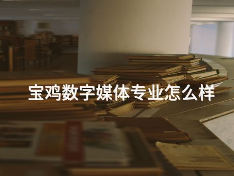 宝鸡数字媒体专业怎么样
