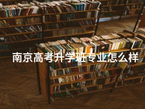南京高考升學班專業怎么樣