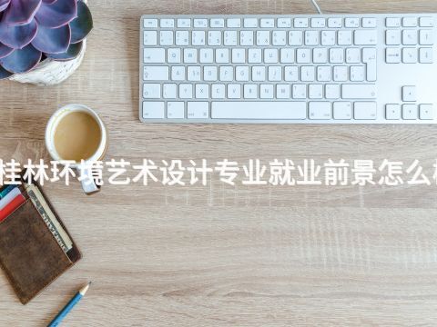 桂林环境艺术设计专业就业前景怎么样(图1)