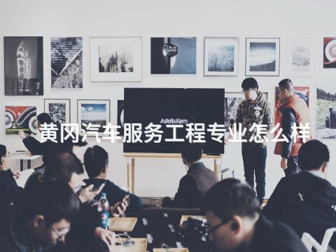 黄冈汽车服务工程专业怎么样(图1) 黄冈汽车服务工程专业怎么样(图1)