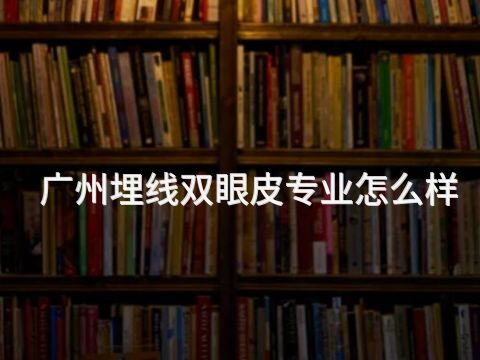 广州埋线双眼皮专业怎么样