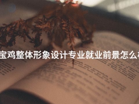 宝鸡整体形象设计专业就业前景怎么样