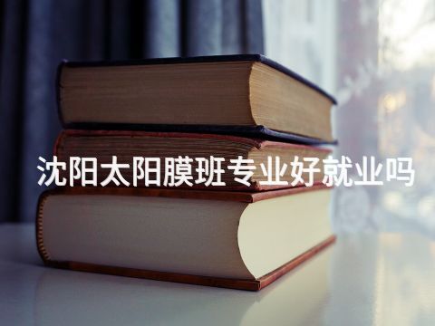 沈阳太阳膜班专业好就业吗