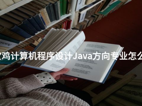 宝鸡计算机程序设计Java方向专业怎么样