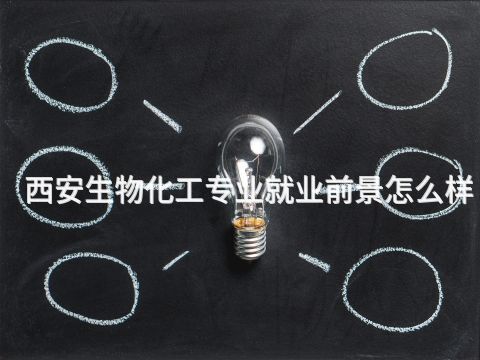 西安生物化工专业就业前景怎么样(图1) 西安生物化工专业就业前景怎么样(图1)