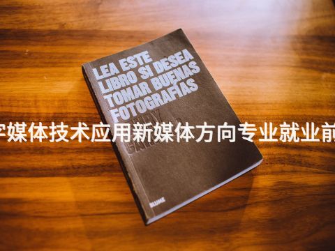 桂林数字媒体技术应用新媒体方向专业就业前景怎么样(图1)
