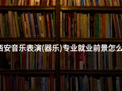 西安音乐表演(器乐)专业就业前景怎么样