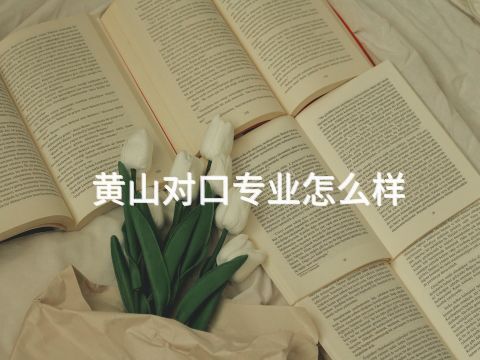 黄山对口专业怎么样