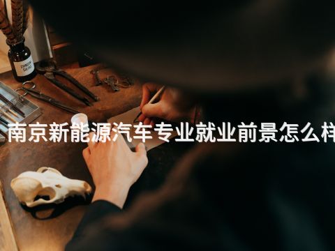 南京新能源汽车专业就业前景怎么样(图1) 南京新能源汽车专业就业前景怎么样(图1)