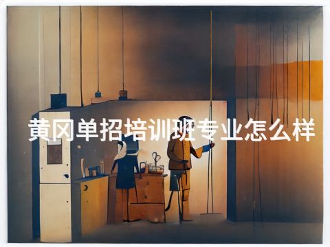 黄冈单招培训班专业怎么样
