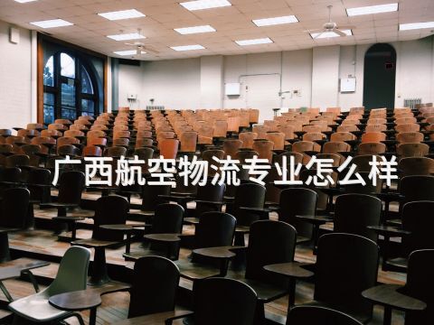 广西航空物流专业怎么样