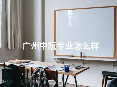 广州中阮专业怎么样