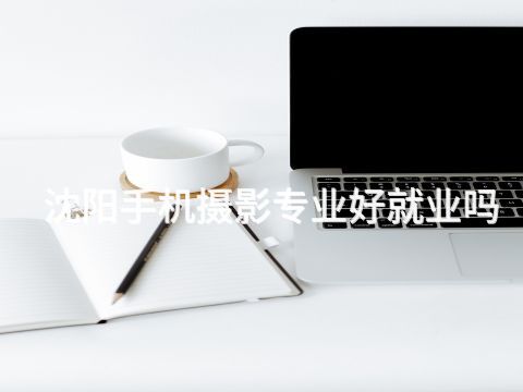 沈阳手机摄影专业好就业吗(图1) 沈阳手机摄影专业好就业吗(图1)