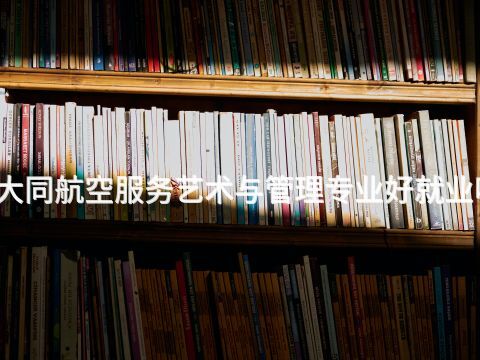 大同航空服务艺术与管理专业好就业吗