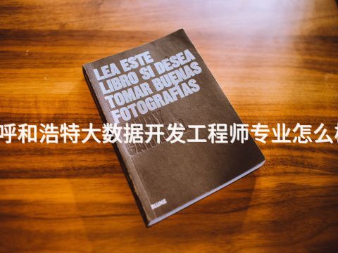 呼和浩特大数据开发工程师专业怎么样