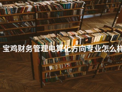 宝鸡财务管理电算化方向专业怎么样