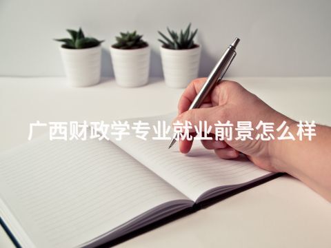 广西财政学专业就业前景怎么样