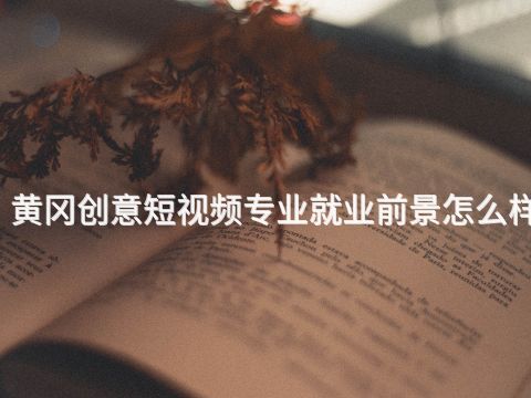黄冈创意短视频专业就业前景怎么样
