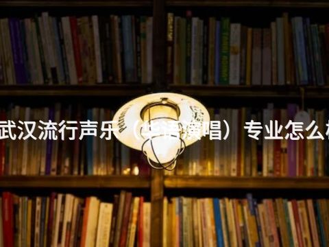 武汉流行声乐（华语演唱）专业怎么样