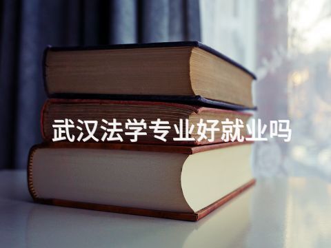 武漢法學專業好就業嗎