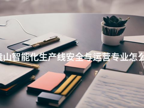 黄山智能化生产线安全与运营专业怎么样