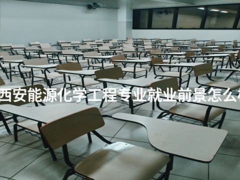 西安能源化学工程专业就业前景怎么样