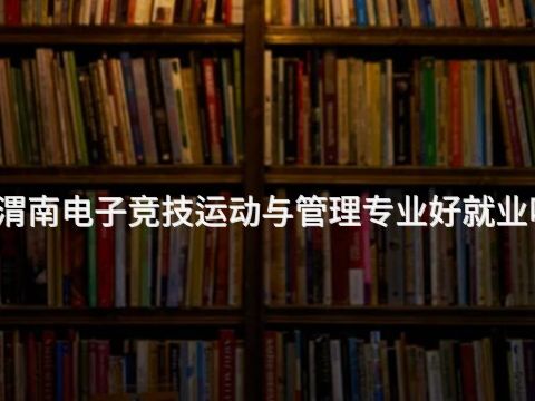 渭南电子竞技运动与管理专业好就业吗(图1) 渭南电子竞技运动与管理专业好就业吗(图1)