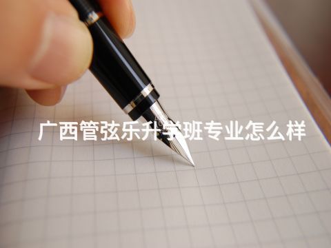 广西管弦乐升学班专业怎么样(图1) 广西管弦乐升学班专业怎么样(图1)