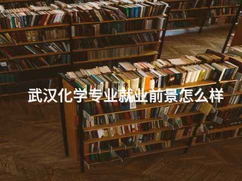 武汉化学专业就业前景怎么样