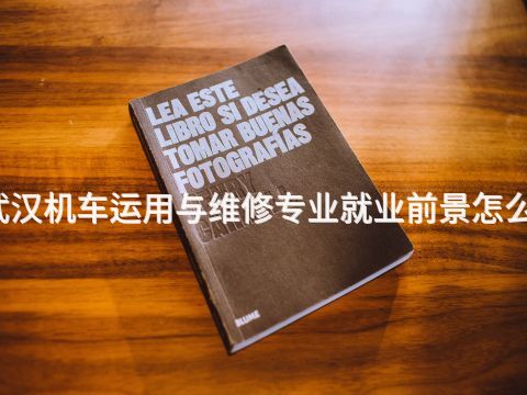 武汉机车运用与维修专业就业前景怎么样(图1) 武汉机车运用与维修专业就业前景怎么样(图1)