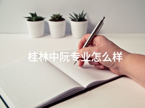 桂林中阮专业怎么样
