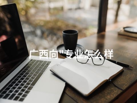 广西向"专业怎么样