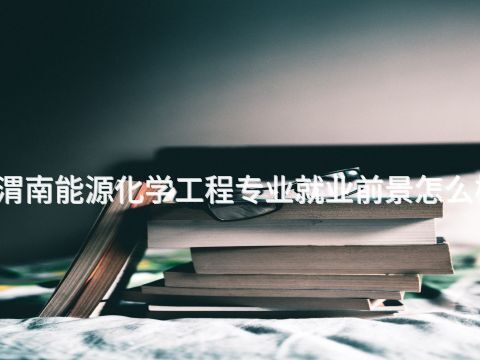渭南能源化学工程专业就业前景怎么样