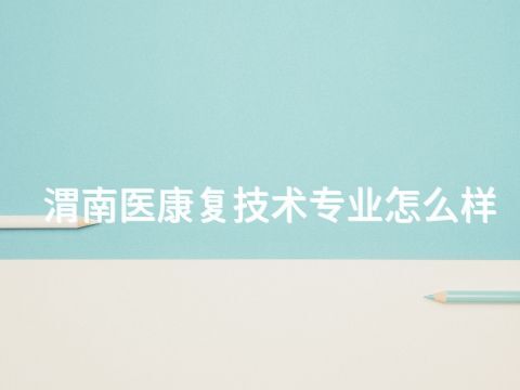 渭南医康复技术专业怎么样