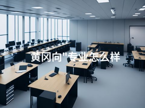 黄冈向"专业怎么样