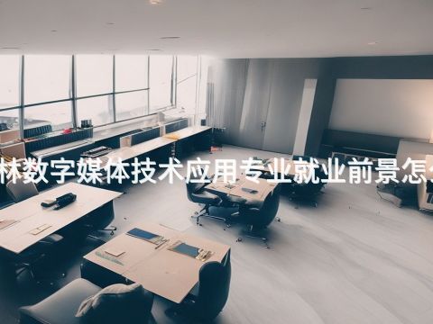 桂林数字媒体技术应用专业就业前景怎么样