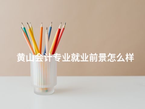 黄山会计专业就业前景怎么样(图1) 黄山会计专业就业前景怎么样(图1)
