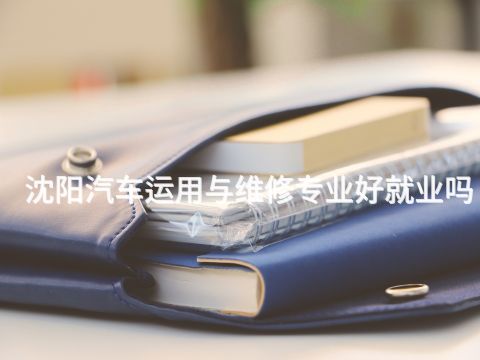 沈阳汽车运用与维修专业好就业吗(图1) 沈阳汽车运用与维修专业好就业吗(图1)