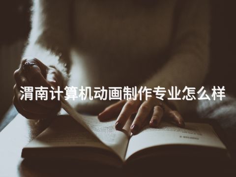 渭南计算机动画制作专业怎么样