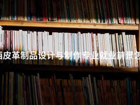 广西皮革制品设计与制作专业就业前景怎么样(图1) 广西皮革制品设计与制作专业就业前景怎么样(图1)