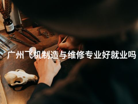 广州飞机制造与维修专业好就业吗(图1) 广州飞机制造与维修专业好就业吗(图1)