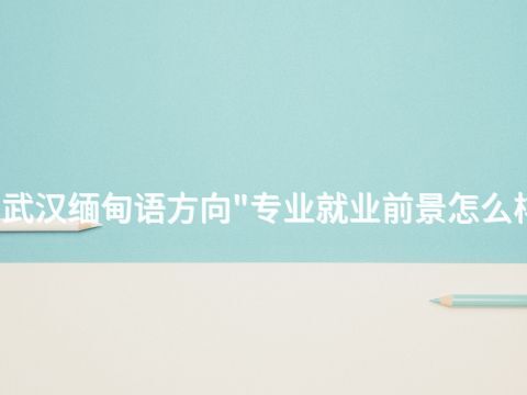 武汉缅甸语方向"专业就业前景怎么样