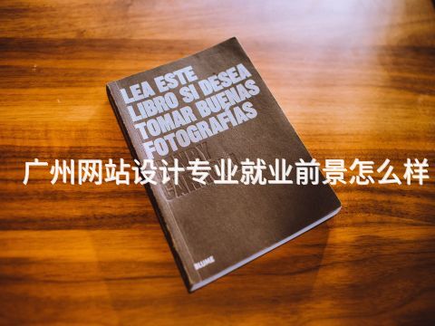 广州网站设计专业就业前景怎么样(图1) 广州网站设计专业就业前景怎么样(图1)