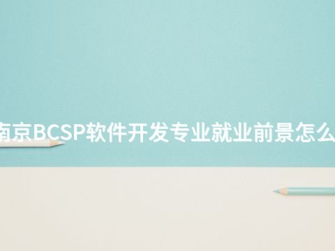 南京BCSP軟件開發專業就業前景怎么樣